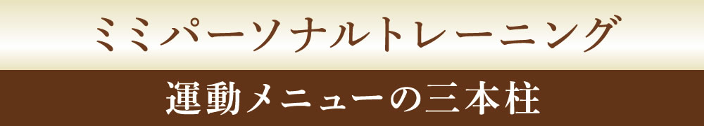 ミミパーソナルトレーニング-運動メニューの三本柱-